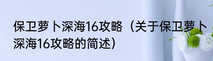 保卫萝卜深海16攻略（关于保卫萝卜深海16攻略的简述）