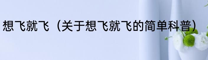 想飞就飞（关于想飞就飞的简单科普）