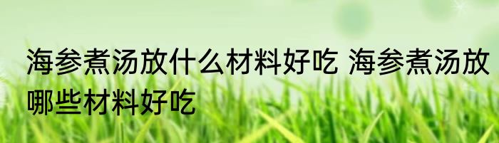 海参煮汤放什么材料好吃 海参煮汤放哪些材料好吃