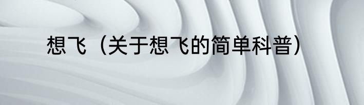 想飞（关于想飞的简单科普）