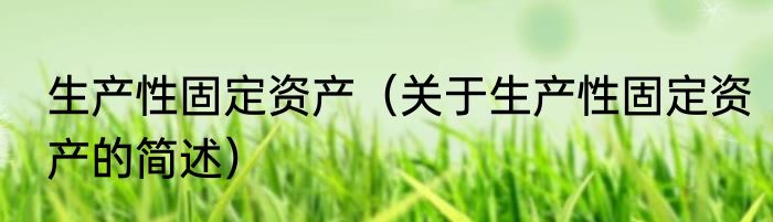 生产性固定资产（关于生产性固定资产的简述）