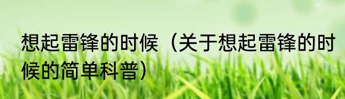 想起雷锋的时候（关于想起雷锋的时候的简单科普）