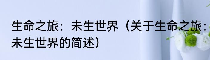 生命之旅：未生世界（关于生命之旅：未生世界的简述）