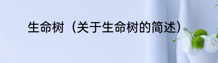 生命树（关于生命树的简述）