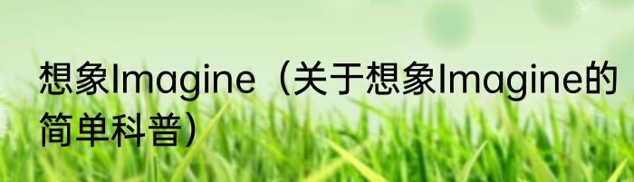 想象Imagine（关于想象Imagine的简单科普）
