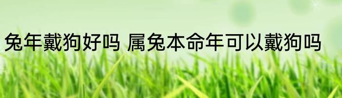 兔年戴狗好吗 属兔本命年可以戴狗吗