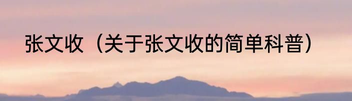 张文收（关于张文收的简单科普）