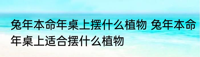 兔年本命年桌上摆什么植物 兔年本命年桌上适合摆什么植物