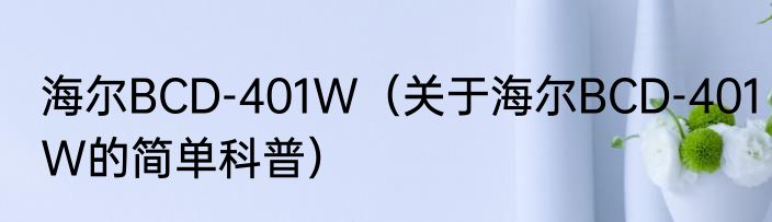 海尔BCD-401W（关于海尔BCD-401W的简单科普）