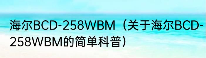 海尔BCD-258WBM（关于海尔BCD-258WBM的简单科普）