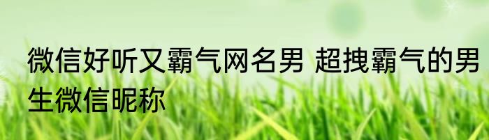 微信好听又霸气网名男 超拽霸气的男生微信昵称