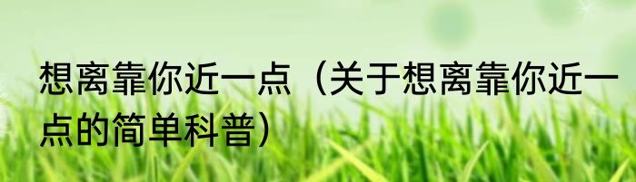 想离靠你近一点（关于想离靠你近一点的简单科普）