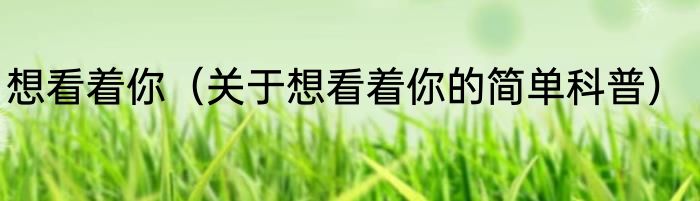 想看着你（关于想看着你的简单科普）
