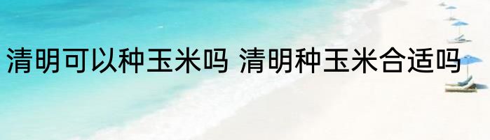 清明可以种玉米吗 清明种玉米合适吗