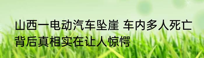 山西一电动汽车坠崖 车内多人死亡 背后真相实在让人惊愕