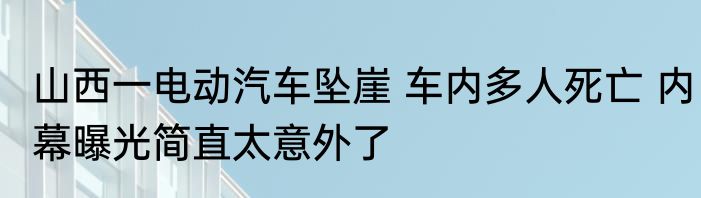 山西一电动汽车坠崖 车内多人死亡 内幕曝光简直太意外了