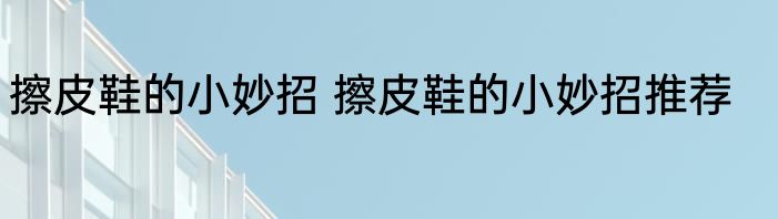 擦皮鞋的小妙招 擦皮鞋的小妙招推荐