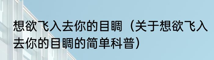 想欲飞入去你的目睭（关于想欲飞入去你的目睭的简单科普）