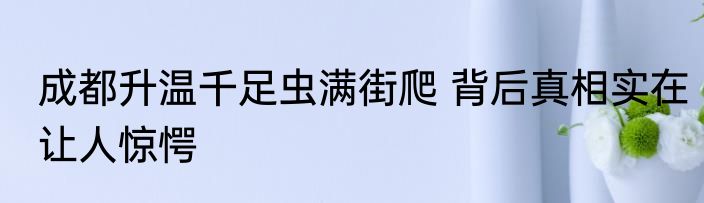 成都升温千足虫满街爬 背后真相实在让人惊愕