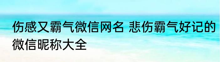 伤感又霸气微信网名 悲伤霸气好记的微信昵称大全