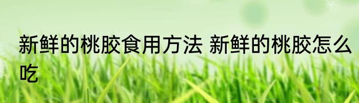 新鲜的桃胶食用方法 新鲜的桃胶怎么吃