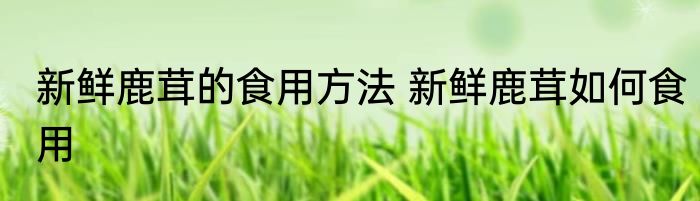 新鲜鹿茸的食用方法 新鲜鹿茸如何食用