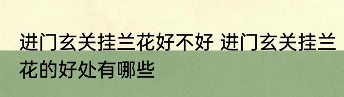 进门玄关挂兰花好不好 进门玄关挂兰花的好处有哪些