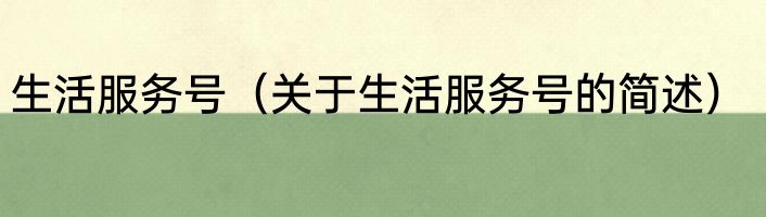 生活服务号（关于生活服务号的简述）