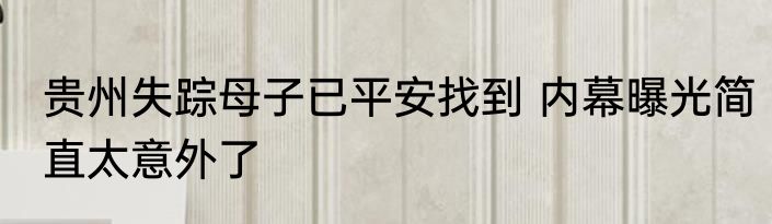 贵州失踪母子已平安找到 内幕曝光简直太意外了