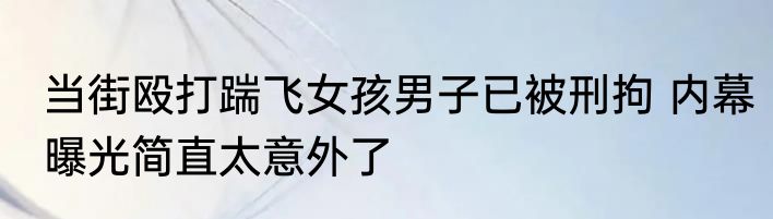 当街殴打踹飞女孩男子已被刑拘 内幕曝光简直太意外了