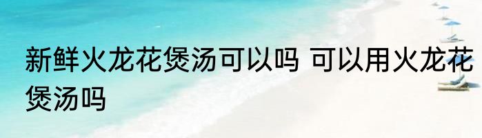 新鲜火龙花煲汤可以吗 可以用火龙花煲汤吗
