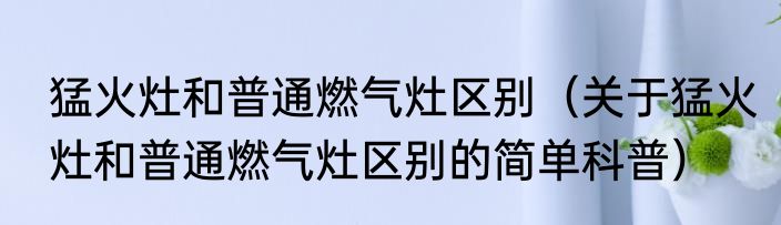 猛火灶和普通燃气灶区别（关于猛火灶和普通燃气灶区别的简单科普）