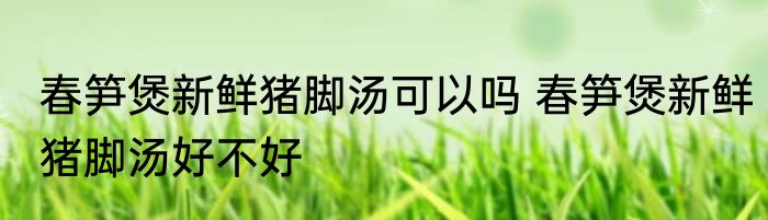 春笋煲新鲜猪脚汤可以吗 春笋煲新鲜猪脚汤好不好