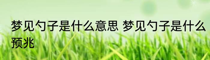 梦见勺子是什么意思 梦见勺子是什么预兆