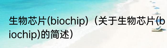 生物芯片(biochip)（关于生物芯片(biochip)的简述）