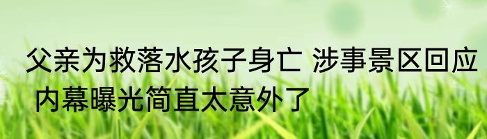 父亲为救落水孩子身亡 涉事景区回应 内幕曝光简直太意外了