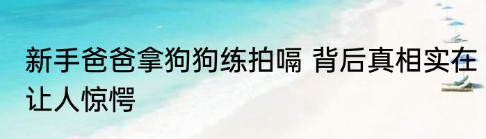 新手爸爸拿狗狗练拍嗝 背后真相实在让人惊愕