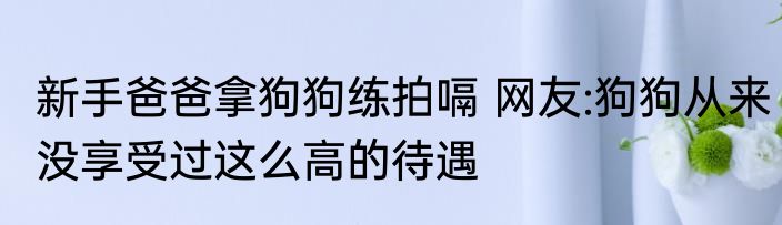 新手爸爸拿狗狗练拍嗝 网友:狗狗从来没享受过这么高的待遇