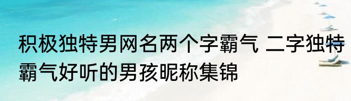 积极独特男网名两个字霸气 二字独特霸气好听的男孩昵称集锦