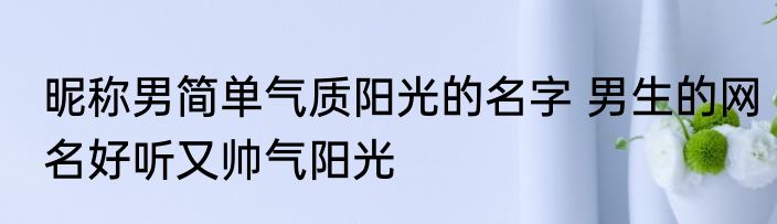 昵称男简单气质阳光的名字 男生的网名好听又帅气阳光