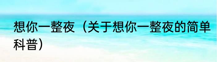 想你一整夜（关于想你一整夜的简单科普）