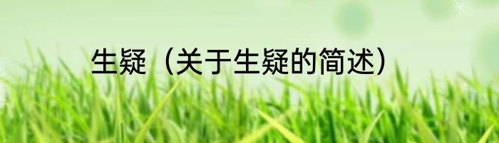 生疑（关于生疑的简述）