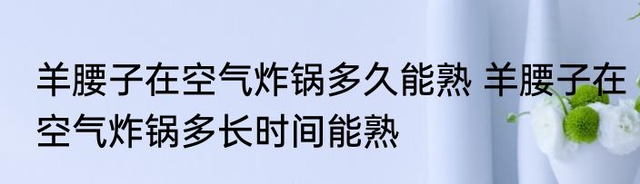 羊腰子在空气炸锅多久能熟 羊腰子在空气炸锅多长时间能熟