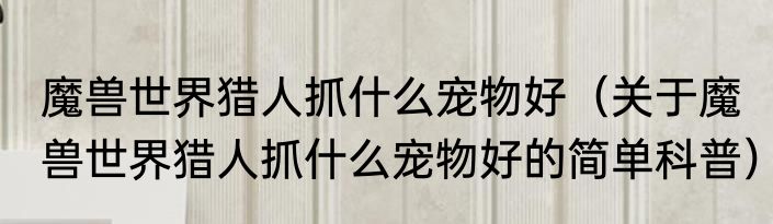 魔兽世界猎人抓什么宠物好（关于魔兽世界猎人抓什么宠物好的简单科普）