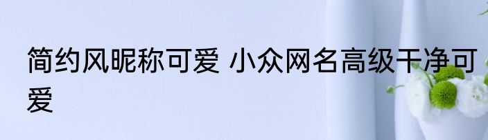 简约风昵称可爱 小众网名高级干净可爱