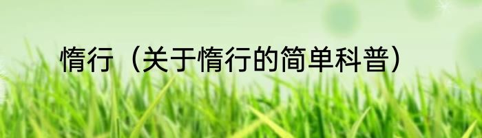 惰行（关于惰行的简单科普）