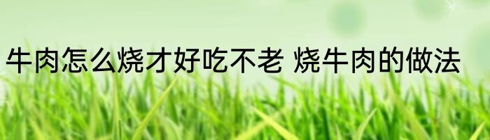 牛肉怎么烧才好吃不老 烧牛肉的做法