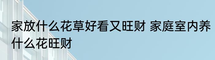 家放什么花草好看又旺财 家庭室内养什么花旺财
