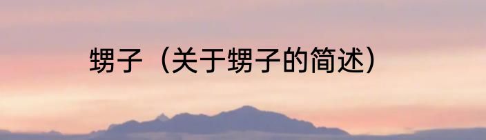 甥子（关于甥子的简述）