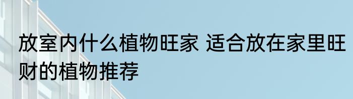 放室内什么植物旺家 适合放在家里旺财的植物推荐